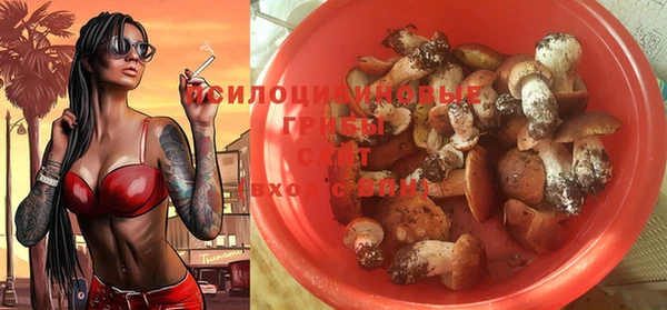 скорость Абаза