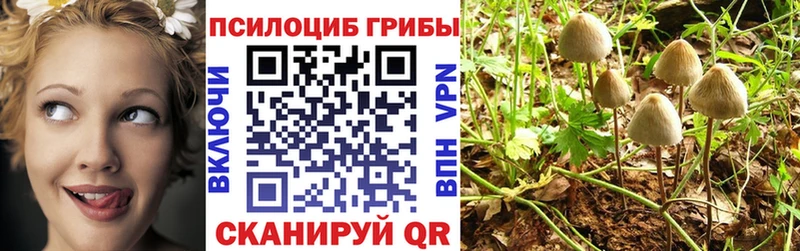 продажа наркотиков  Усмань  Галлюциногенные грибы Magic Shrooms 