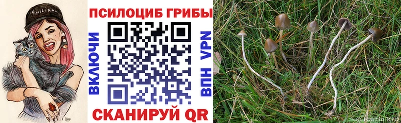 Псилоцибиновые грибы мухоморы Усмань